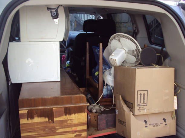 Best Shed Removal  in Laramie, WY